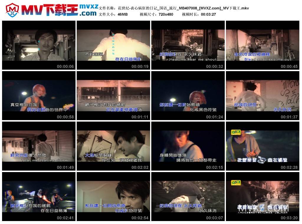 花世纪-丧心病狂的日记_国语_流行_MB407008